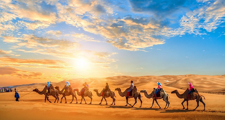 【初见内蒙·畅游沙漠3日】库布齐07沙漠公路+越野车深度穿越+畅玩响沙湾+光伏森林+特色骆驼宴+美岱召+内蒙古博物院+38人舒适团