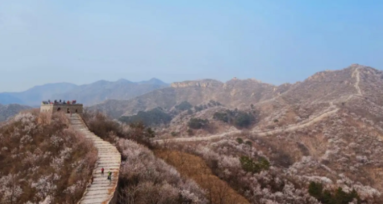 【北京一周一山·香屯】穿越最美香屯村，探索大云峡谷的春季秘境：爬野长城，赏世外桃花！