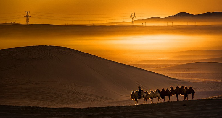 【初见内蒙·畅游沙漠3日】库布齐07沙漠公路+越野车深度穿越+畅玩响沙湾+光伏森林+特色骆驼宴+美岱召+内蒙古博物院+38人舒适团