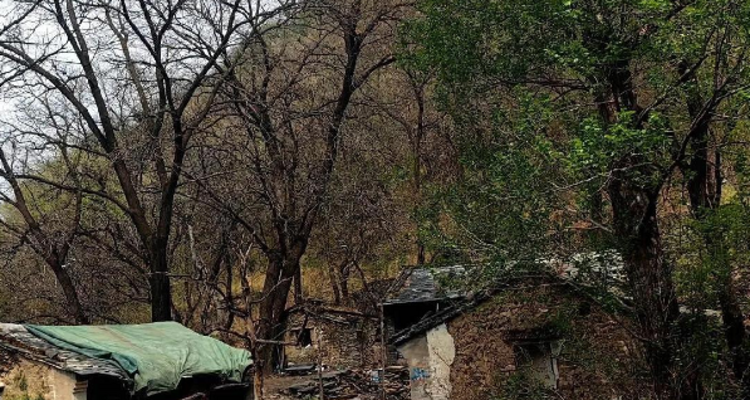 【北京100公里山野·京西古道】千年驼铃响 春日徒步时丨上春山赏春花 | 徒步京西古道