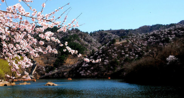 【北京一周一山·香屯】穿越最美香屯村，探索大云峡谷的春季秘境：爬野长城，赏世外桃花！
