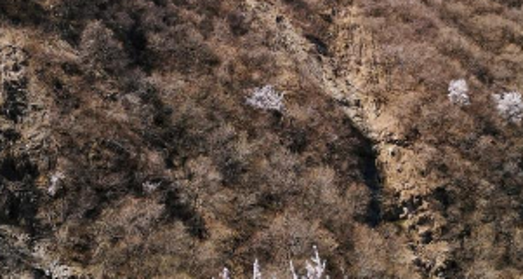 【北京一周一山·石佛岭古道】门头沟石佛岭“空中栈道”赏花徒步：古道、断崖、古村与春日盛景~