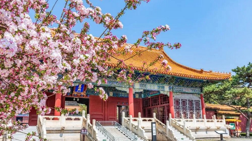 【北京一周一山·明十三陵】春日盛景与古建静谧之美丨春光明媚，踏青赏花，春游十三陵，一片春意盎然~