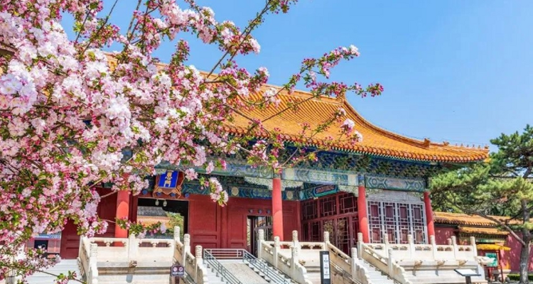 【北京一周一山·明十三陵】春日盛景与古建静谧之美丨春光明媚，踏青赏花，春游十三陵，一片春意盎然~