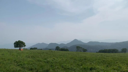 【北京一周一山·黄草梁】京西古道上的高山驿站：黄草梁徒步穿越‌丨高山草甸金辉染，古道长城岁月痕~