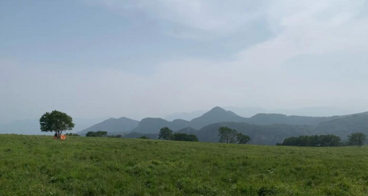 【北京一周一山·黄草梁】春日探索黄草梁的绝美风光，挑战自我，拥抱自然！