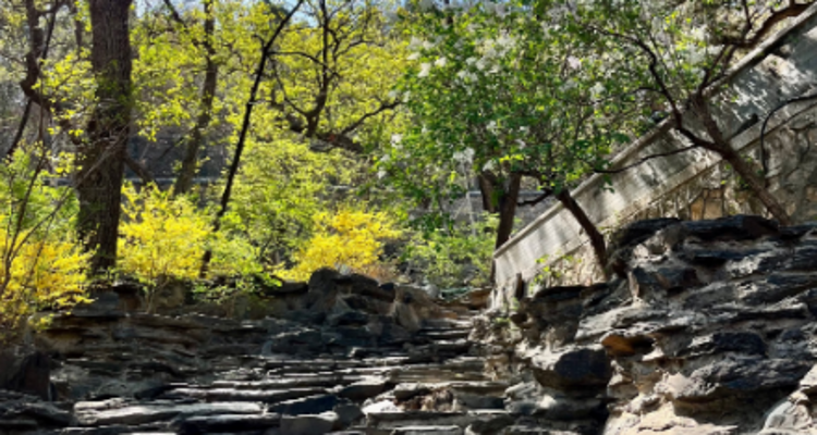 【北京一周一山·大觉寺】会员周限量尊享9.9元丨大觉寺徒步踏青赏花丨山寺桃花始盛开，漫步古寺山林，寻访京西春日~