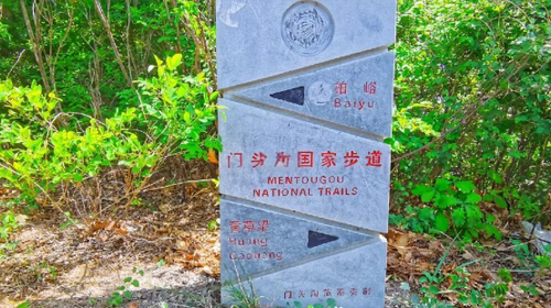 【北京一周一山·黄草梁】京西古道上的高山驿站：黄草梁徒步穿越‌丨高山草甸金辉染，古道长城岁月痕~