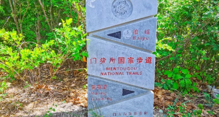 【北京一周一山·黄草梁】春日探索黄草梁的绝美风光，挑战自我，拥抱自然！