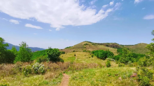【北京一周一山·黄草梁】京西古道上的高山驿站：黄草梁徒步穿越‌丨高山草甸金辉染，古道长城岁月痕~