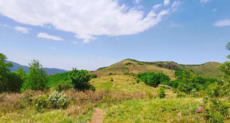 【北京一周一山·黄草梁】春日探索黄草梁的绝美风光，挑战自我，拥抱自然！