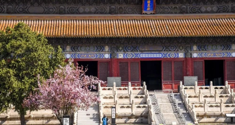 【北京一周一山·明十三陵】春日盛景与古建静谧之美丨春光明媚，踏青赏花，春游十三陵，一片春意盎然~