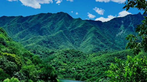 【北京一周一山·金祖山】春日漫游房山小众秘境丨探访金国帝陵金祖山+漫步风景如画的自然秘境~