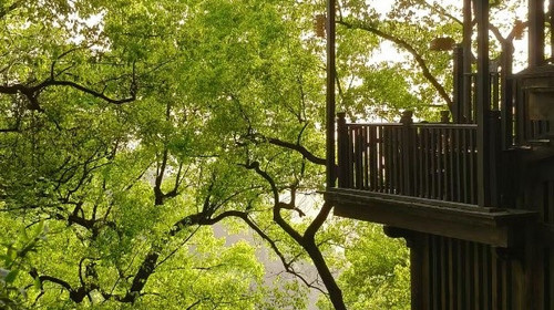 【徒步华夏第二十四站 · 重庆南川站】仙女山徒步+地心秘境徒步+绿野仙踪徒步+华容道+黄葛古道+升级酒店1晚5钻2晚4钻+专业摄影师跟拍航拍+庆功宴+4日徒步