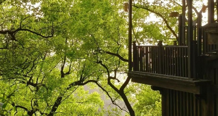 【徒步华夏第二十四站 · 重庆南川站】仙女山徒步+地心秘境徒步+绿野仙踪徒步+华容道+黄葛古道+升级酒店1晚5钻2晚4钻+专业摄影师跟拍航拍+庆功宴+4日徒步