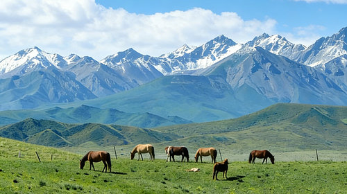 【遇见西北·行走祁连山徒步6日】兰州+乌鞘岭徒步+祁连山徒步+冰河沟+柴尔龙海徒步+山丹汉明长城徒步+祁连草原穿越+苦水丹霞+山丹军马场+油菜花限定+专业摄影师跟拍航拍+庆功宴