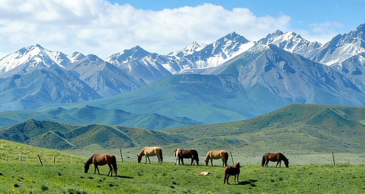 【遇见西北·行走祁连山徒步6日】兰州+乌鞘岭徒步+祁连山徒步+冰河沟+柴尔龙海徒步+山丹汉明长城徒步+祁连草原穿越+苦水丹霞+山丹军马场+油菜花限定+专业摄影师跟拍航拍+庆功宴