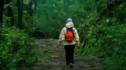 【行走蜀道·人文古道5日】成都+普安镇+南线（小垭子-断碑梁）+西线（拦马墙-普安镇)+北线(普安镇-抄手铺-汉阳镇)+翠云廊景区+剑阁县+剑门关(鸟道)+昭化古城+皇泽寺+千佛崖+28人品质徒步团