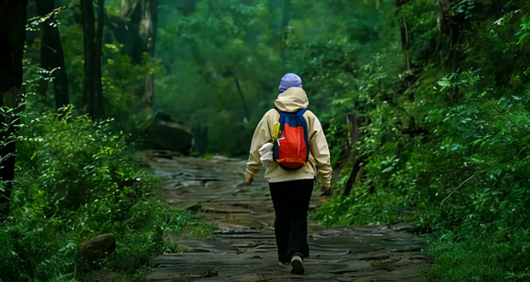 【徒步华夏第二十五站 · 古蜀道站】成都+普安镇+南线（小垭子-断碑梁）+西线（拦马墙-普安镇)+北线(普安镇-抄手铺-汉阳镇)+翠云廊景区+剑阁县+剑门关(鸟道)+昭化古城+皇泽寺+千佛崖+28人品质徒步团