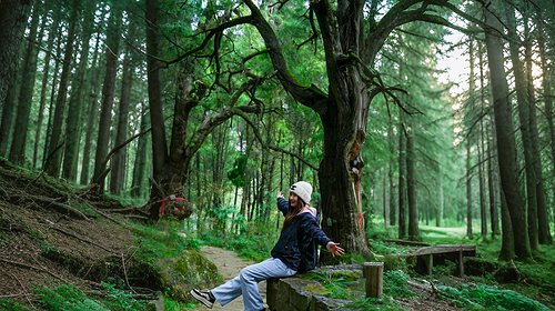 【遇见川北·行走古蜀道徒步5日】成都+普安镇+小垭子-断碑梁+拦马墙-普安镇+普安镇-抄手铺-汉阳镇+翠云廊景区+剑阁县+剑门关(鸟道)+昭化古城+皇泽寺+千佛崖+28人品质徒步团