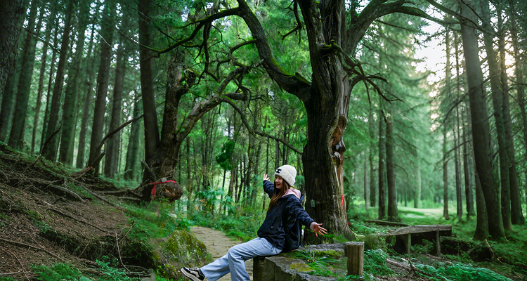 【遇见川北·行走古蜀道徒步5日】成都+普安镇+小垭子-断碑梁+拦马墙-普安镇+普安镇-抄手铺-汉阳镇+翠云廊景区+剑阁县+剑门关(鸟道)+昭化古城+皇泽寺+千佛崖+28人品质徒步团