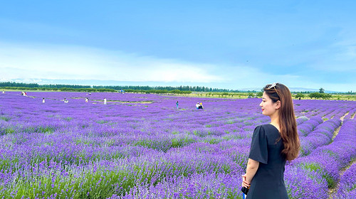 【新疆北疆大环线10日】喀纳斯禾木+那拉提草原+独库公路+赛里木湖+阿禾公路+伊昭公路+琼库什台+夏塔古道+天山天池+唐布拉草原+世界魔鬼城+薰衣草农场+2-6人小包团&6人小团