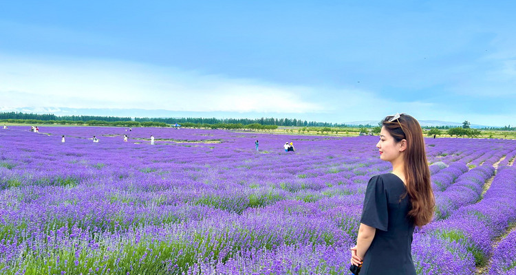 【新疆北疆大环线10日】喀纳斯禾木+那拉提草原+独库公路+赛里木湖+阿禾公路+伊昭公路+琼库什台+夏塔古道+天山天池+唐布拉草原+世界魔鬼城+薰衣草农场+2-6人小包团&6人小团