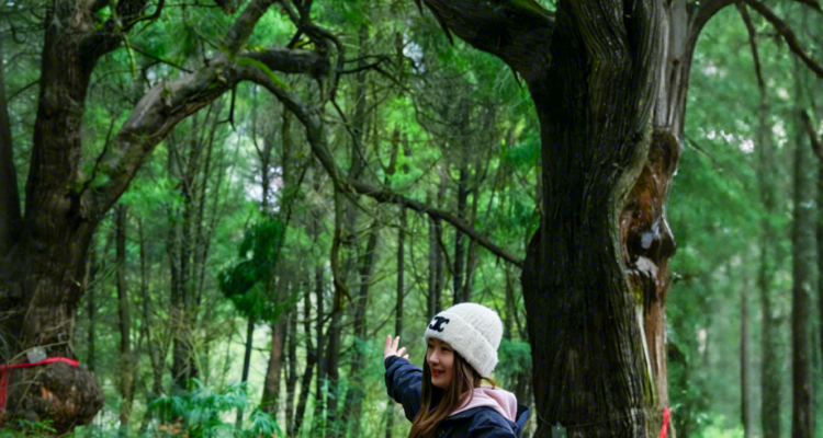 【徒步华夏第二十五站 · 古蜀道站】成都+普安镇+南线（小垭子-断碑梁）+西线（拦马墙-普安镇)+北线(普安镇-抄手铺-汉阳镇)+翠云廊景区+剑阁县+剑门关(鸟道)+昭化古城+皇泽寺+千佛崖+28人品质徒步团