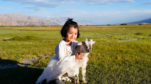 【与疆童行·南疆奇遇10日】 |乌尉高速+龟兹文化+无花果园 +温宿大峡谷地质科考+喀什古城+帕米尔高原探秘暑期亲子研学游