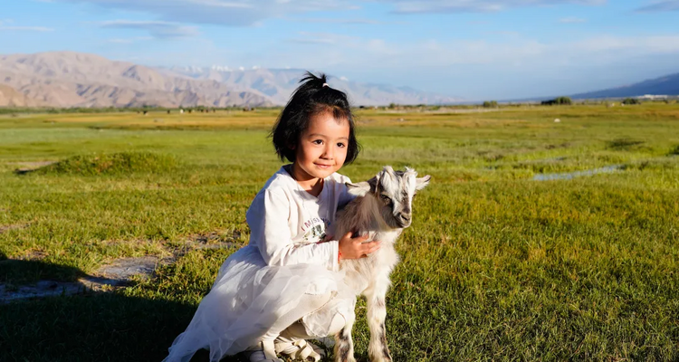 【与疆童行·南疆奇遇10日】 |乌尉高速+龟兹文化+无花果园 +温宿大峡谷地质科考+喀什古城+帕米尔高原探秘暑期亲子研学游