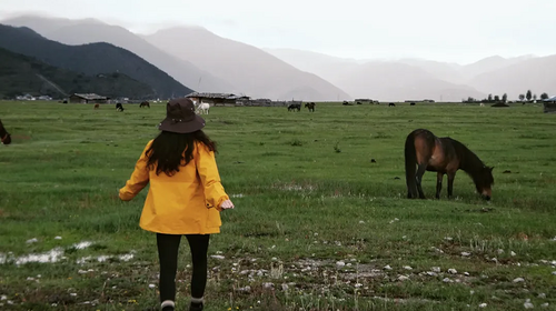 【香格里拉雪山梦4日】丽江+梅里雪山+香格里拉，高性价比玩转云南经典小环线，2-8人小团