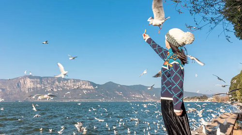 【荷以滇东南·夏日限定6日】昆明+普者黑戏水赏花+深度抚仙湖+建水全景+坝美世外桃源+弥勒东风韵，-一网打尽滇东南全景·2-12人团