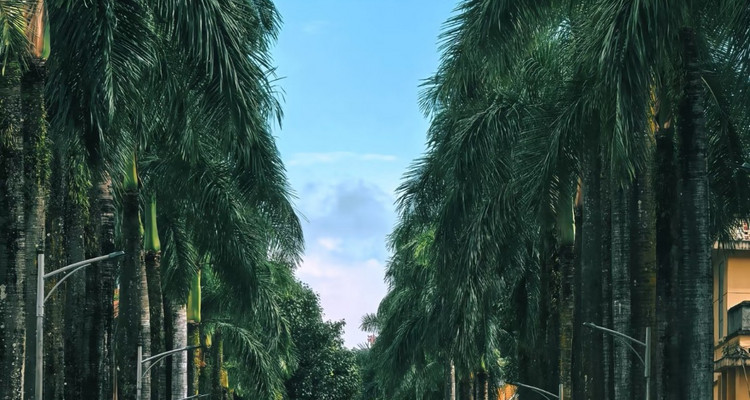 【又见云南 · 魅力边城6日】大理+芒市+瑞丽+腾冲银杏+和顺侨乡丨6天5晚丨滇西赏秋深度纯玩2-8人小车团