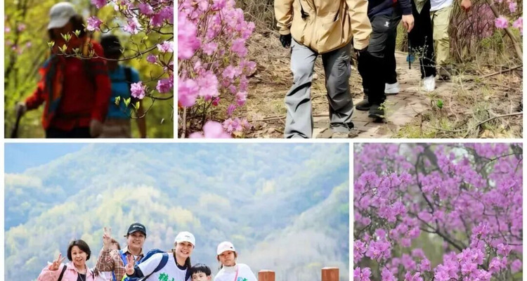 【玉渡山转山节】第三届 “转山节”延庆・玉渡山徒步越野赛+心随山转纵情山野+奖品盛宴等您开启！