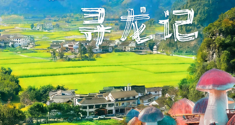 【探秘贵州·蘑菇屋寻龙记6日】陡坡塘瀑布+黄果树大瀑布+黄果树小黄鸭漂流+雨鲁天坑+兴义世界地质公园+安顺寻龙洞+兴义峰林6天5晚亲子营2-28人团