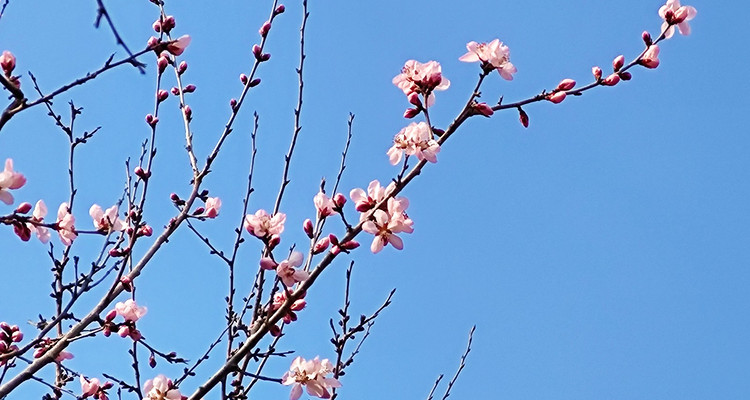 【北京一周一山·长峪城】会员周特惠9.9元｜北京长峪城徒步指南：登顶昌平之巅，邂逅壮美风车群