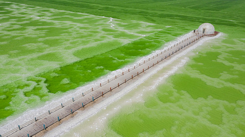 【遇见西北·可可西里秘境8日】西宁+生命树德令哈+大柴旦翡翠湖+察尔汗盐湖+茫崖翡翠湖+格尔木+青海湖+荒野公路+黑独山+艾肯泉+星之谷丹霞+可可西里+观藏羚羊+昆仑雪山-2-8人小包团/8人小团