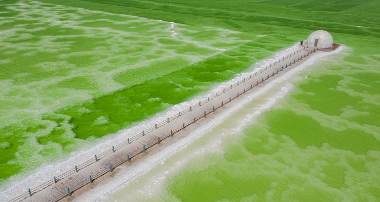 【遇见西北·可可西里秘境8日】西宁+生命树德令哈+大柴旦翡翠湖+察尔汗盐湖+茫崖翡翠湖+格尔木+青海湖+荒野公路+黑独山+艾肯泉+星之谷丹霞+可可西里+观藏羚羊+昆仑雪山-2-8人小包团/8人小团