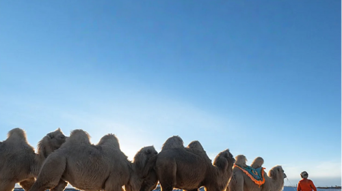 【徒步华夏第二十六站 · 腾格里沙漠站】银川+吉格图湖+星星湖+月亮湖+太阳湖+苏海图湖+乌兰湖+骆驼湖+4日徒步+28人品质徒步团