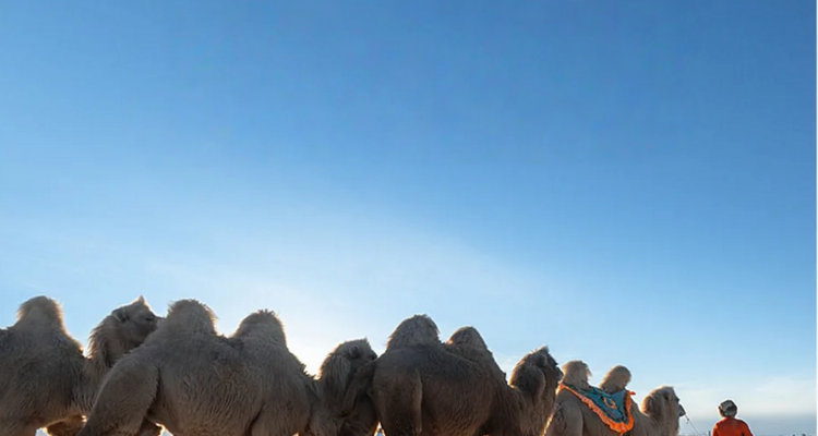 【徒步华夏第二十六站 · 腾格里沙漠站】银川+吉格图湖+星星湖+月亮湖+太阳湖+苏海图湖+乌兰湖+骆驼湖+4日徒步+28人品质徒步团