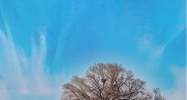 【徒步华夏第二十六站 · 腾格里沙漠站】银川+吉格图湖+星星湖+月亮湖+太阳湖+苏海图湖+乌兰湖+骆驼湖+4日徒步+28人品质徒步团