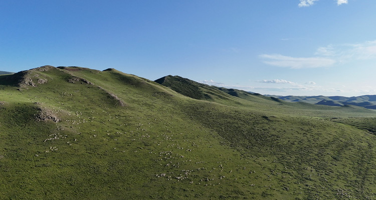 【一生必看！华子鱼洄游4日】穿越北疆风景大道+观华子鱼洄游生命奇迹+赏达里湖日落+塞尔达美景大青山+畅玩布日敦沙漠+美林谷+户外纯玩+38人舒适团~