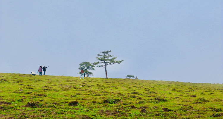 【寻迹晋西·秘境芦芽山4日】探万年冰洞+观悬空村奇观+登芦芽雄峰+马仑草原+雁门关+打卡正定古城+忻州古城+38人舒适团！