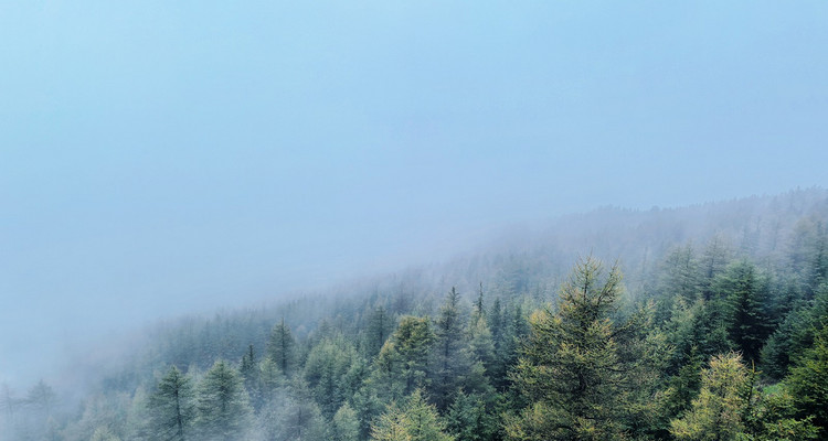 【寻迹晋西·秘境芦芽山4日】探万年冰洞+观悬空村奇观+登芦芽雄峰+马仑草原+雁门关+打卡正定古城+忻州古城+38人舒适团！