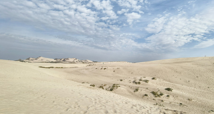 【一生必看！华子鱼洄游4日】穿越北疆风景大道+观华子鱼洄游生命奇迹+赏达里湖日落+塞尔达美景大青山+畅玩布日敦沙漠+美林谷+户外纯玩+38人舒适团~