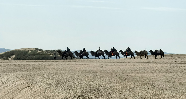 【一生必看！华子鱼洄游4日】穿越北疆风景大道+观华子鱼洄游生命奇迹+赏达里湖日落+塞尔达美景大青山+畅玩布日敦沙漠+美林谷+户外纯玩+38人舒适团~