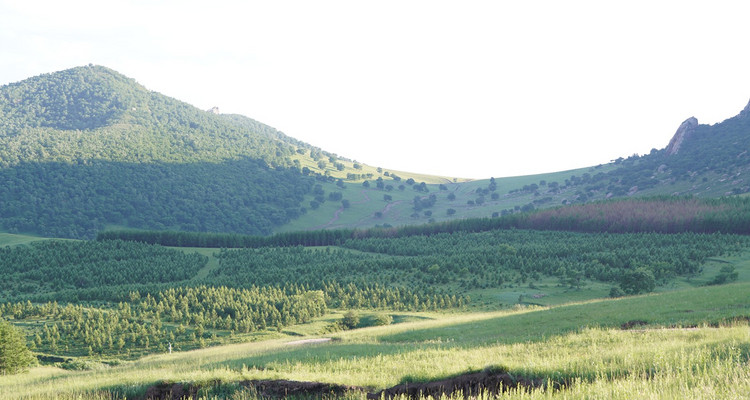 【一生必看！华子鱼洄游4日】穿越北疆风景大道+观华子鱼洄游生命奇迹+赏达里湖日落+塞尔达美景大青山+畅玩布日敦沙漠+美林谷+户外纯玩+38人舒适团~