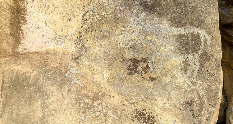 【一生必看！华子鱼洄游4日】穿越北疆风景大道+观华子鱼洄游生命奇迹+赏达里湖日落+塞尔达美景大青山+畅玩布日敦沙漠+美林谷+户外纯玩+38人舒适团~