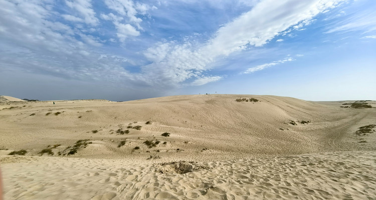 【一生必看！华子鱼洄游4日】穿越北疆风景大道+观华子鱼洄游生命奇迹+赏达里湖日落+塞尔达美景大青山+畅玩布日敦沙漠+美林谷+户外纯玩+38人舒适团~