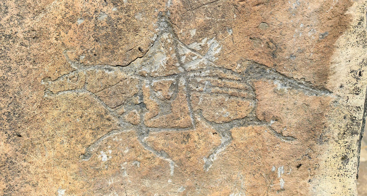 【一生必看！华子鱼洄游4日】穿越北疆风景大道+观华子鱼洄游生命奇迹+赏达里湖日落+塞尔达美景大青山+畅玩布日敦沙漠+美林谷+户外纯玩+38人舒适团~